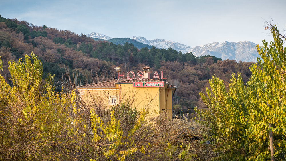 Hostal La Pastora كانديليدا المظهر الخارجي الصورة